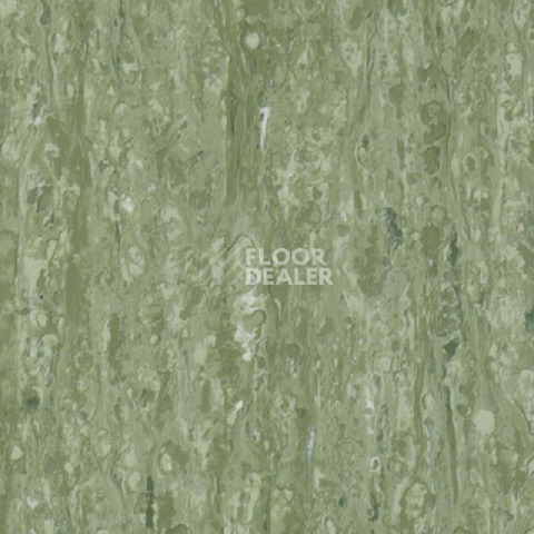 Линолеум Tarkett iq Optima Sage Green 0836 фото 1 | FLOORDEALER